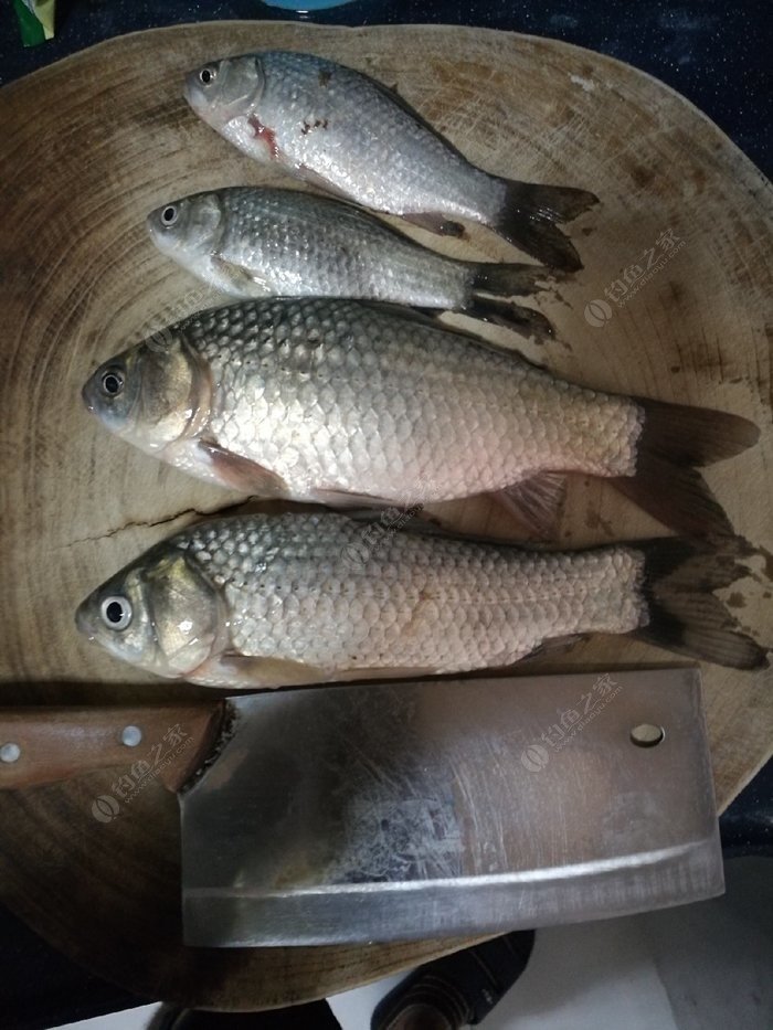 小学生眼中的人,小学生眼中的英雄人物