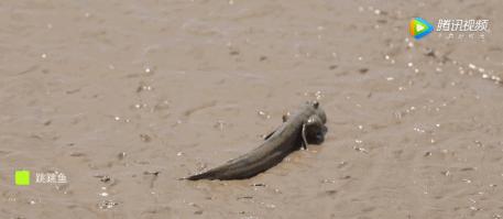 拥有中国最美海岸线的小县城,浙江四个冷门海岛