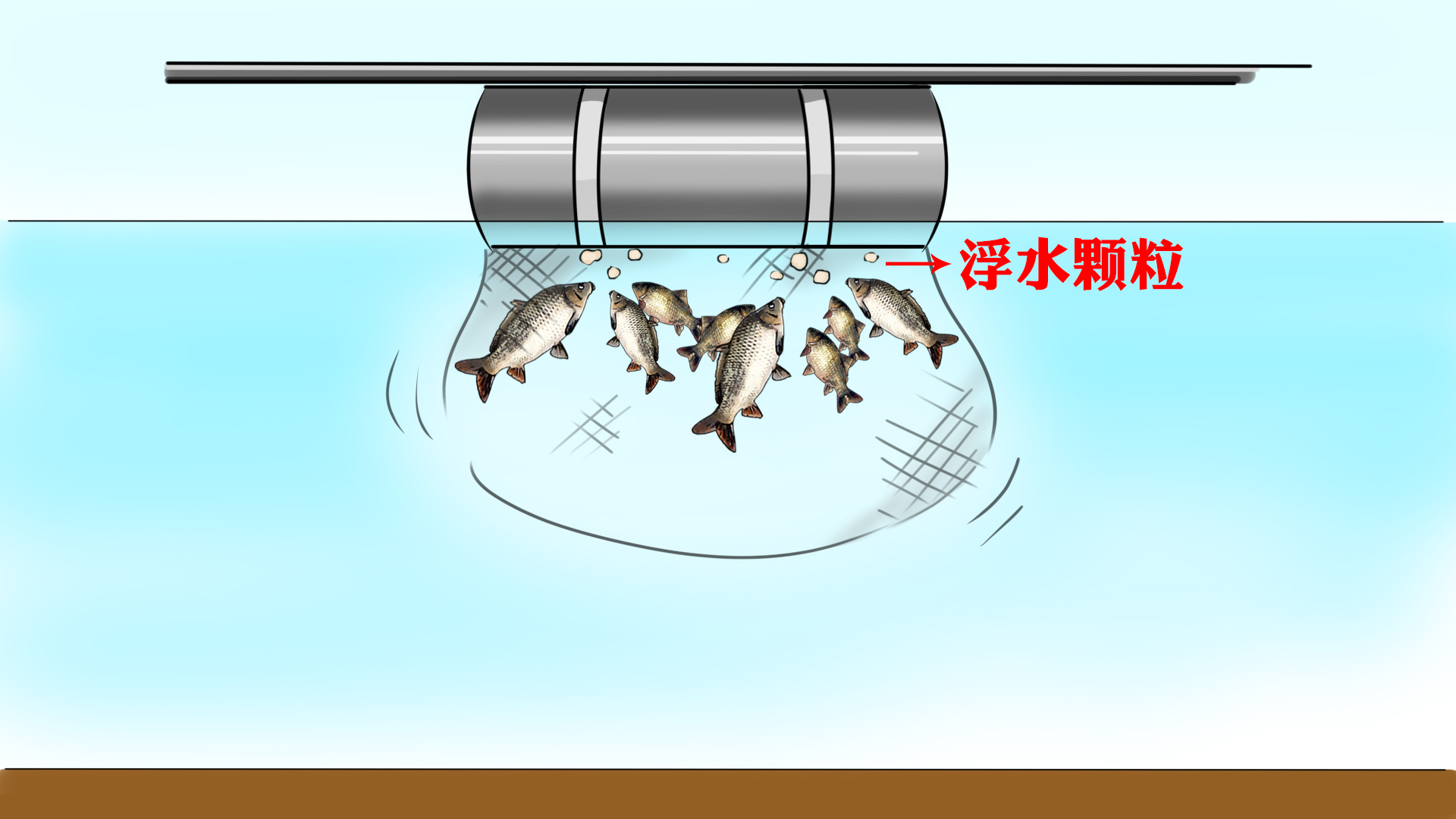 网络曝光坑人的老板,为什么黑坑钓鱼越来越少