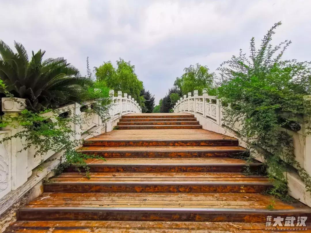 武汉科技大学的机械学院,武汉科技大学医学院和临床学院