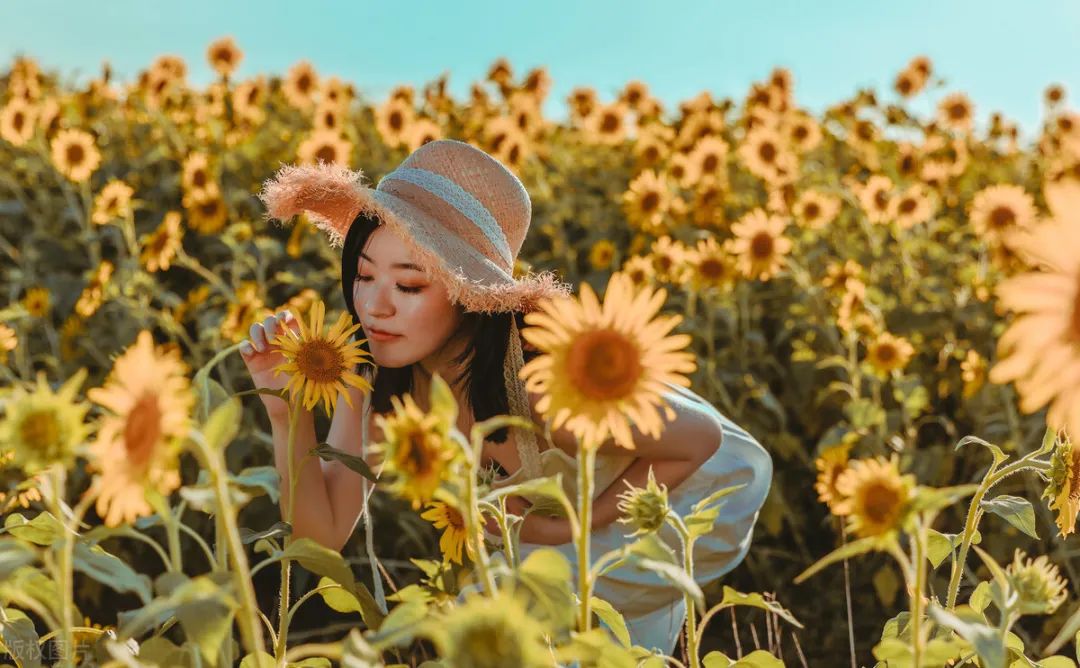 花海中如何拍照,花海里怎么拍照最好看