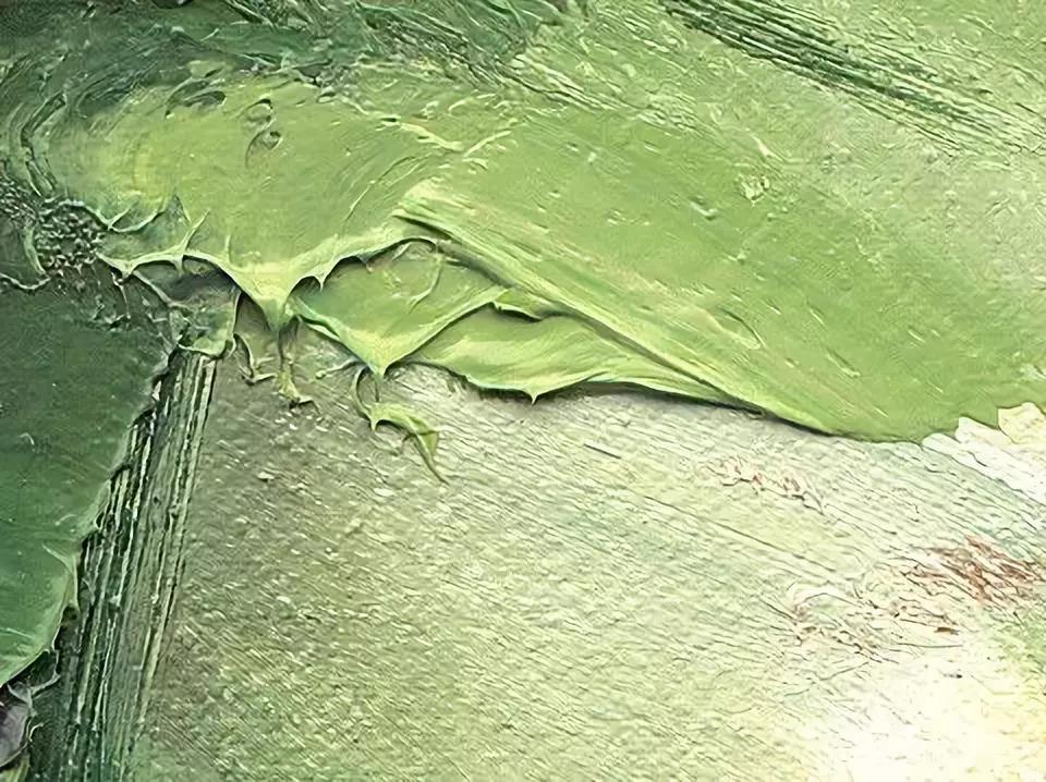 名家大师画白菜,画家笔下的工笔画白菜