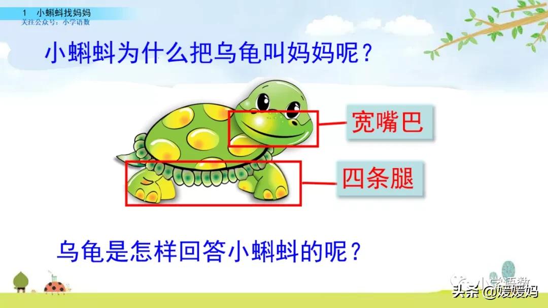 二年级上册小蝌蚪找妈妈听写词语,朗读二年级上册语文小蝌蚪找妈妈