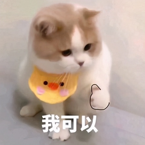 没有银行流水让拒贷了怎么办,银行流水不足月供2倍怎么处理