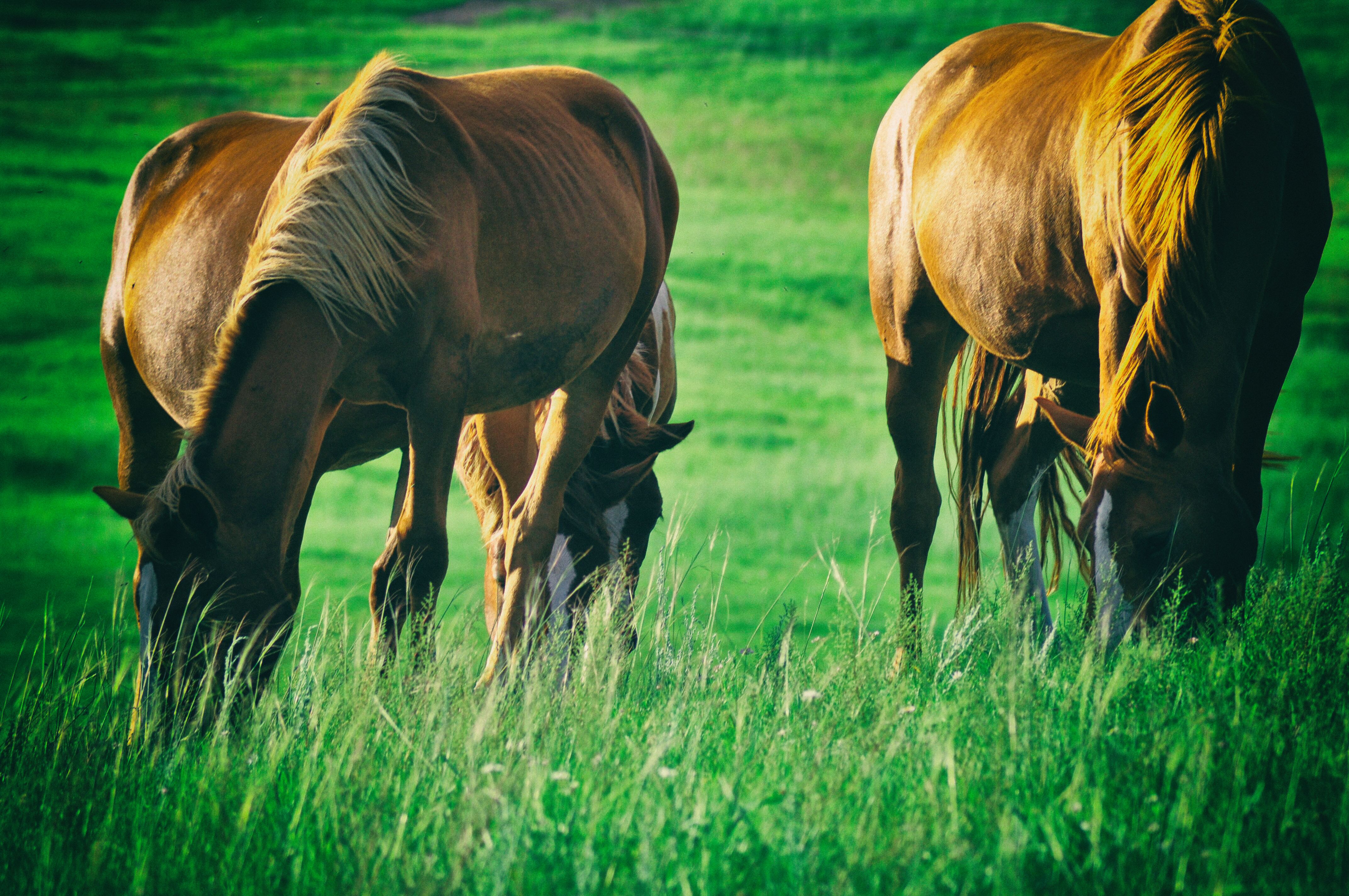 一次特别的东北旅行,历时18天的东北边境行