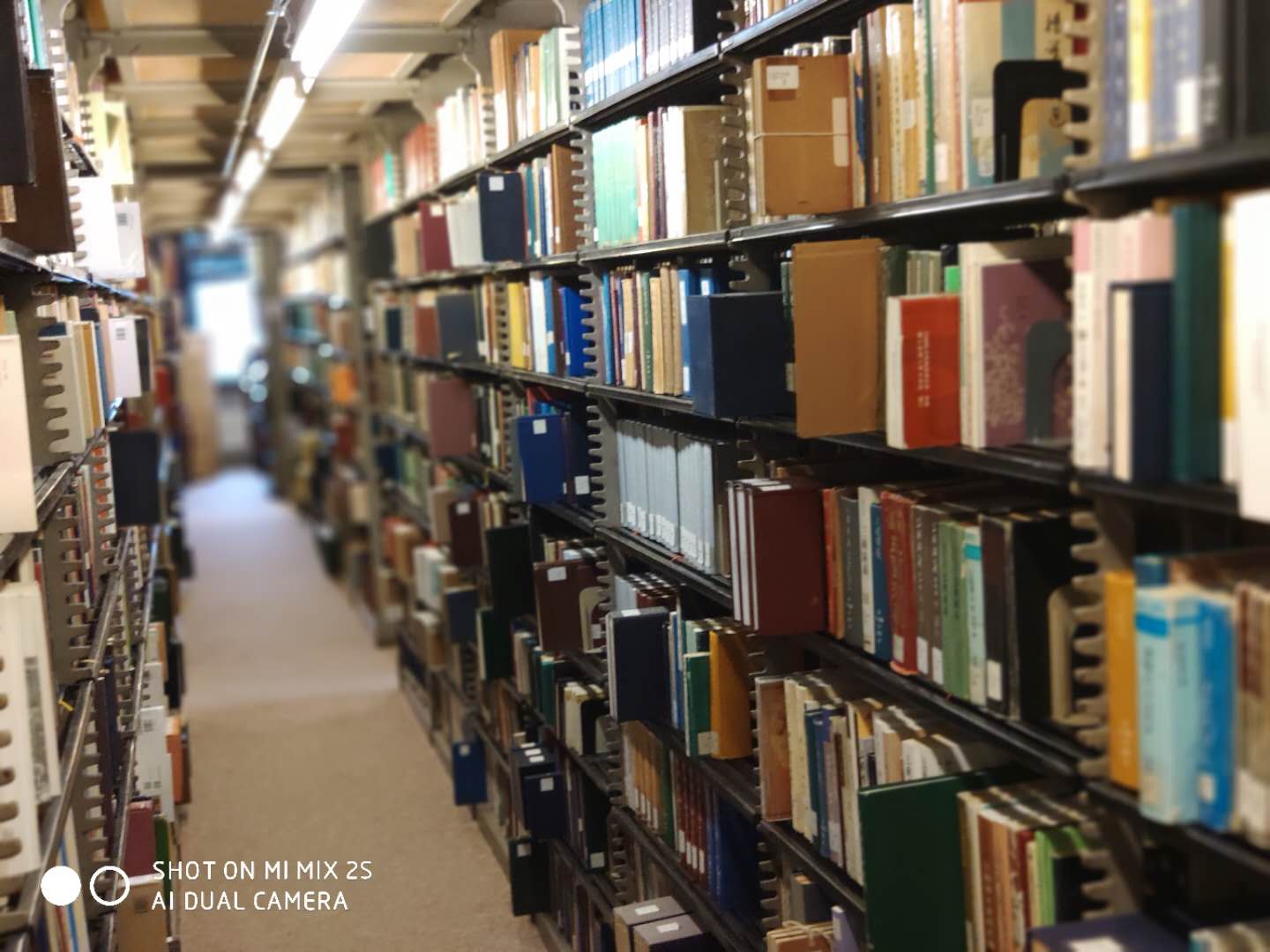 拉斯维加斯见闻,圣路易斯夜晚