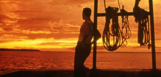 美国电影阿甘正传解析,对电影阿甘正传的文化解读