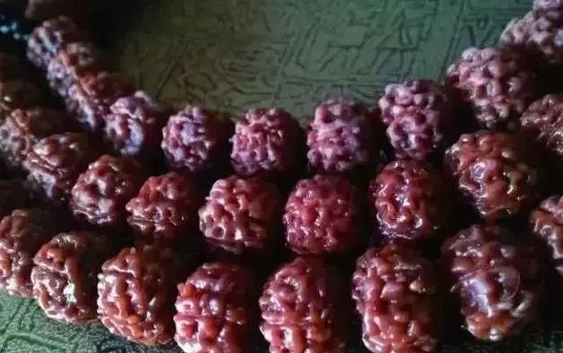 小金刚菩提如何清理果肉,小金刚菩提深度清理