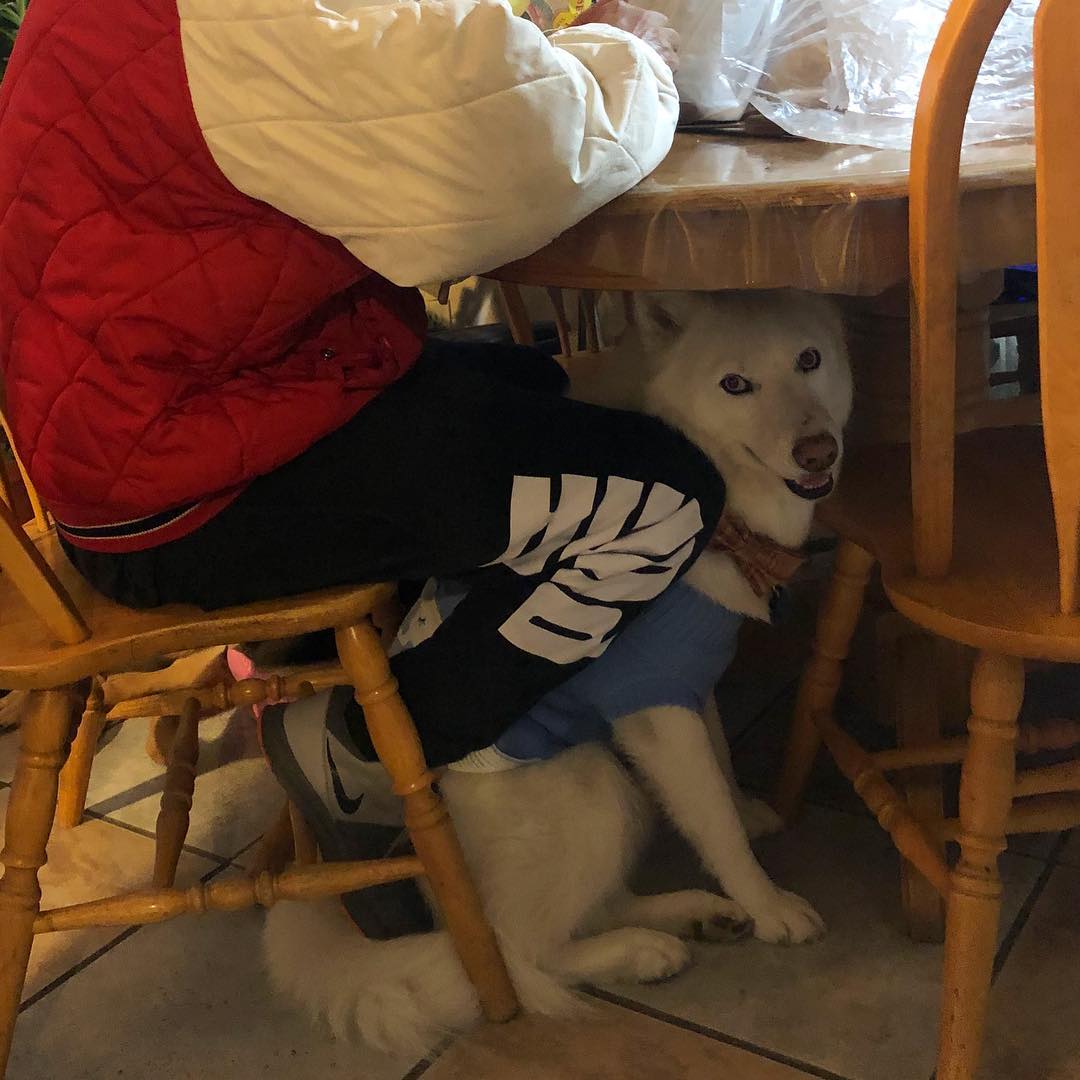 教大家如何正确回怼嘴欠的亲戚,有人嘴欠怎么怼他