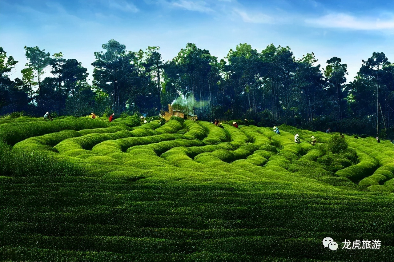 南京小众景点,南京小众花园秘境