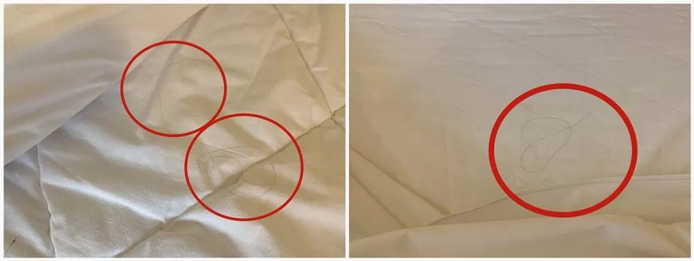 如家7天汉庭,如家7天速8