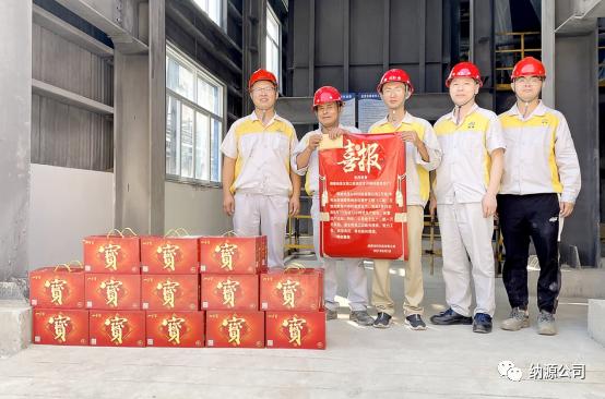 安纳达比亚迪磷酸铁锂,安纳达磷酸铁锂