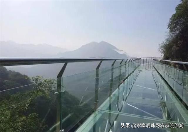 梨木台景林农家院,梨木台景林农家院直播