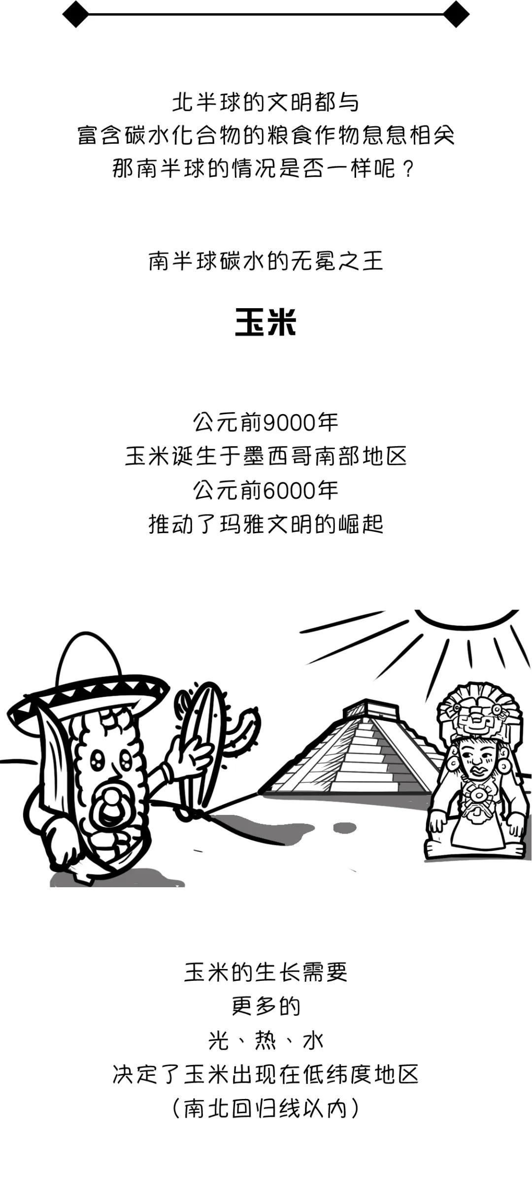 漫画食物简史好书推荐,漫画食物简史视频