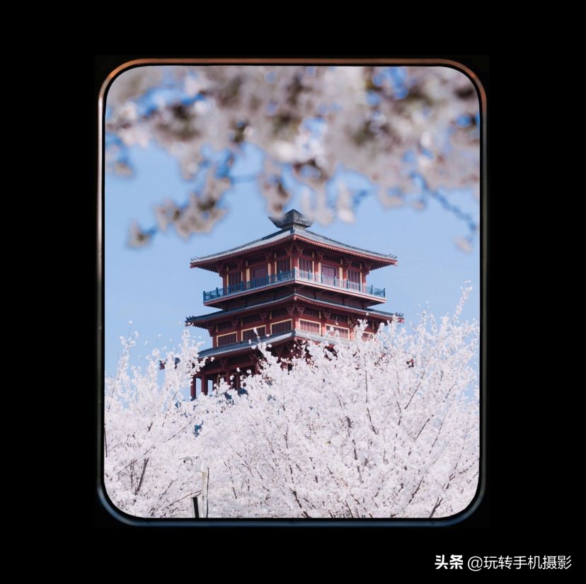 今年错过的春天，这些摄影app全给安排上了