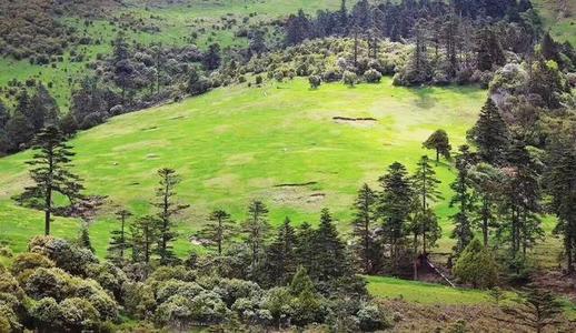 朝发夕至列车发车,长沙至丽江的飞机