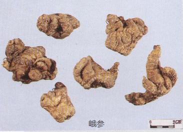 教你怎样辨别真假三七粉,网上买到的假三七粉怎么辨别