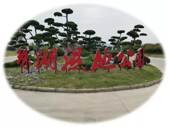 水调歌头荷花,水调歌头游览朗诵