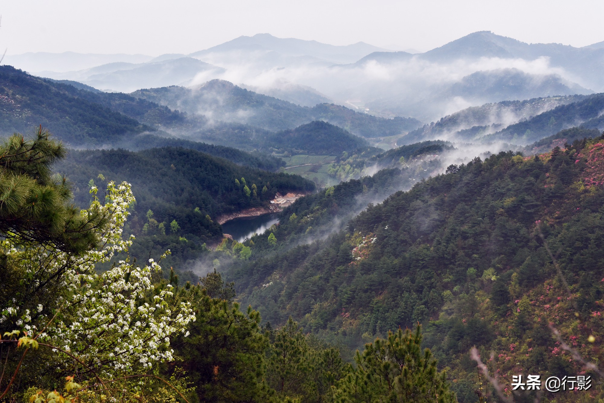 网红景点武汉云雾山,是何美景让三十万人趋之若鹜,天天爆满?