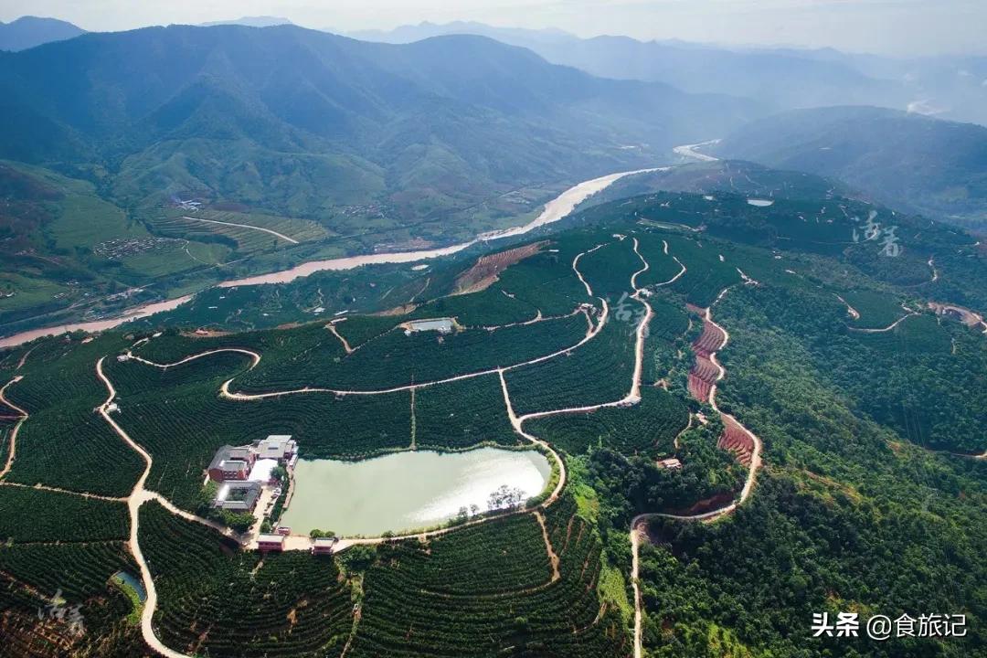 褚橙属于柑类吗,褚橙什么时间成熟