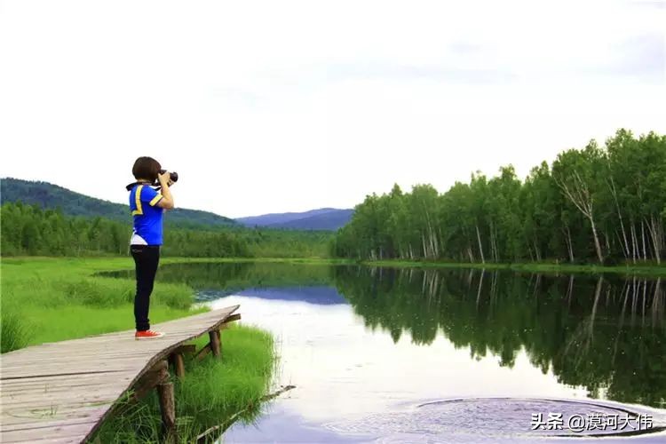 森林草原自驾游,森林亲子旅游攻略图片大全