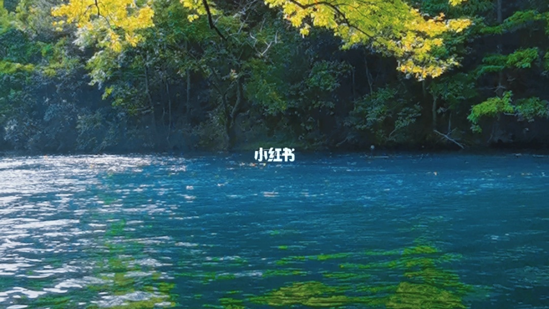 宁波免费小众点的帐篷烧烤好去处,宁波露营过夜的好地方