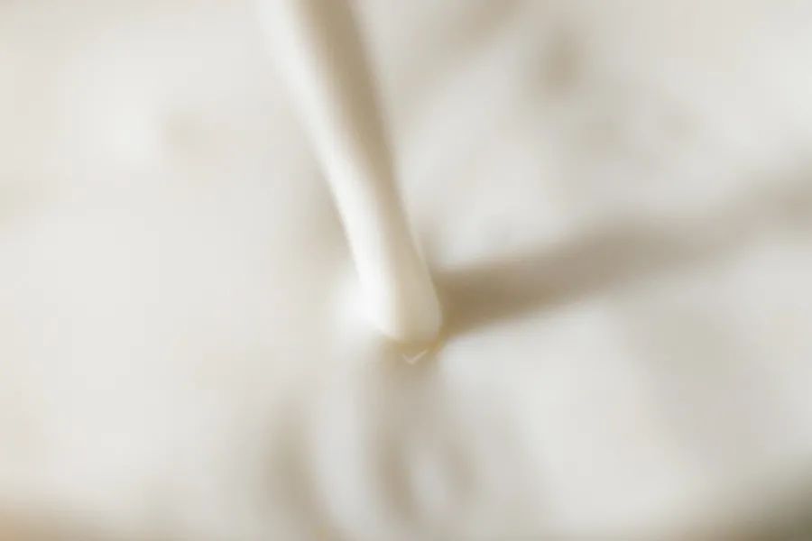 小众牛奶品牌,19年小众牛奶