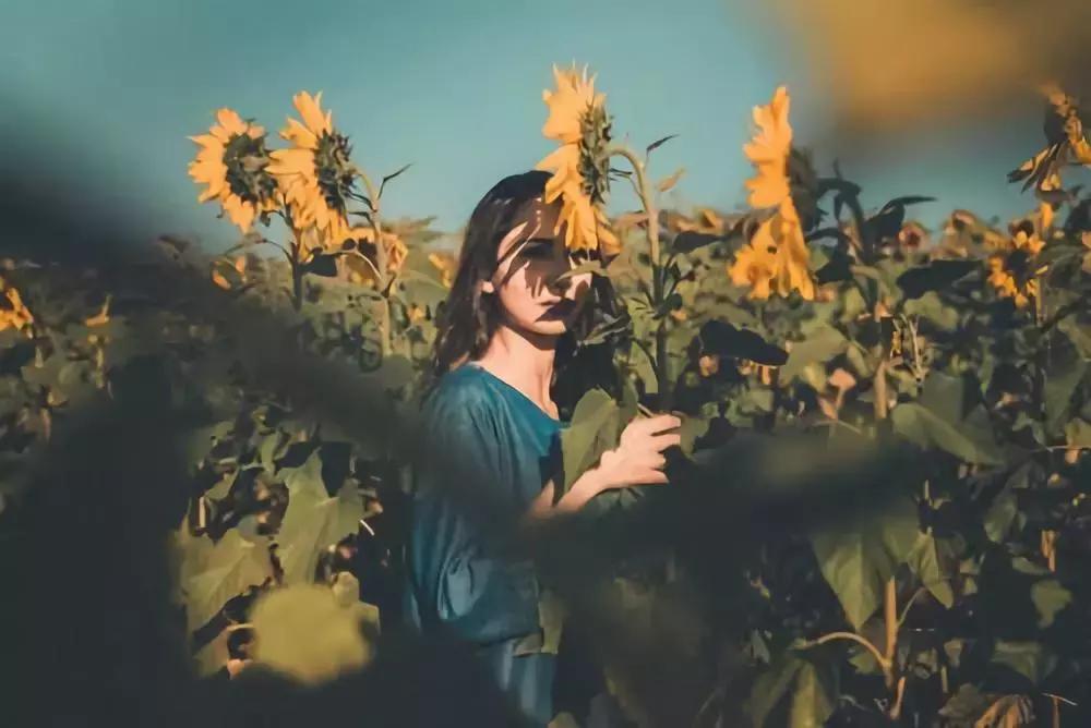 1999最火的歌,盘点那些2024年最火爆的歌