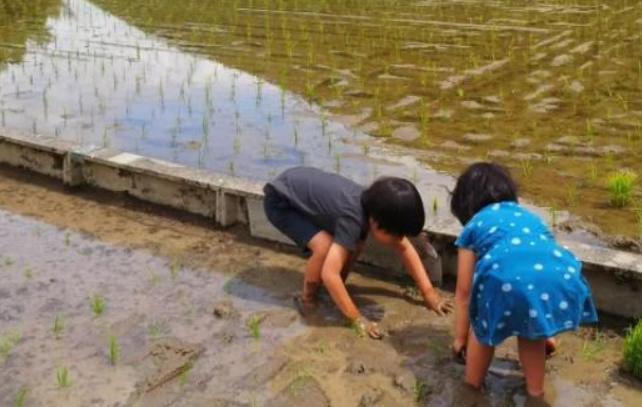 父母和孩子产生误解或代沟的原因,为什么总是被家长误解