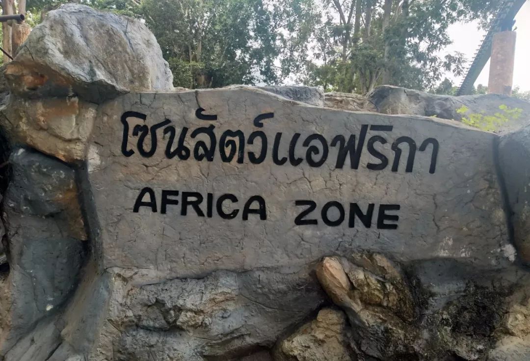 为什么选择泰国留学的人多,为什么很多人到泰国读国际学校