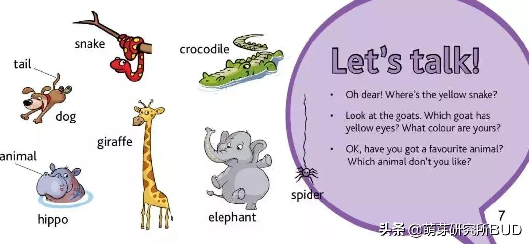 英语单词宝典,英语入门单词必背带音标