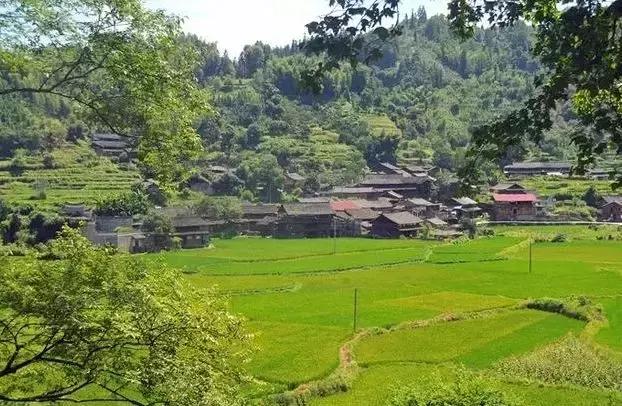 下一站联合电子,下一站同行