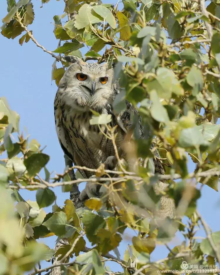 天坛最近发生什么事,北京天坛现在的状况
