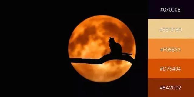 999张图片视频的卡点模板,服装设计素材收集与整理