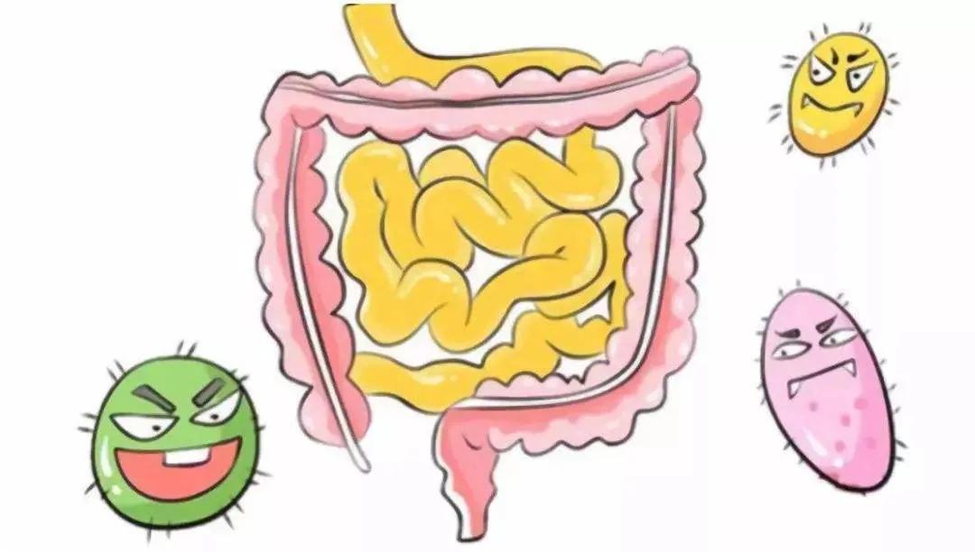 肠的秘密解读大全,肠瘘你了解多少