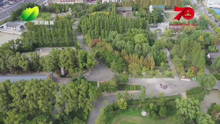 泗阳：从“一园独秀”到“公园拥城”