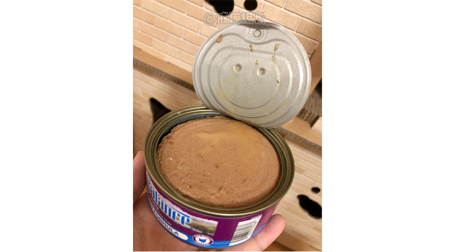 猫吃主食罐头好还是猫粮好,猫零食罐头和主食罐头的区别