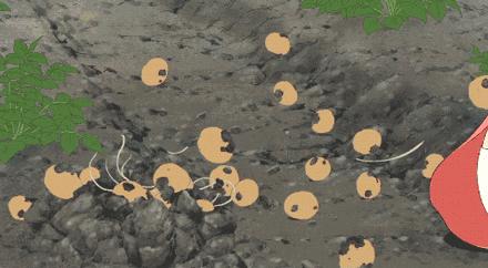 一个春天，比孩子低半头的同学，一下子超过了我们家宝宝