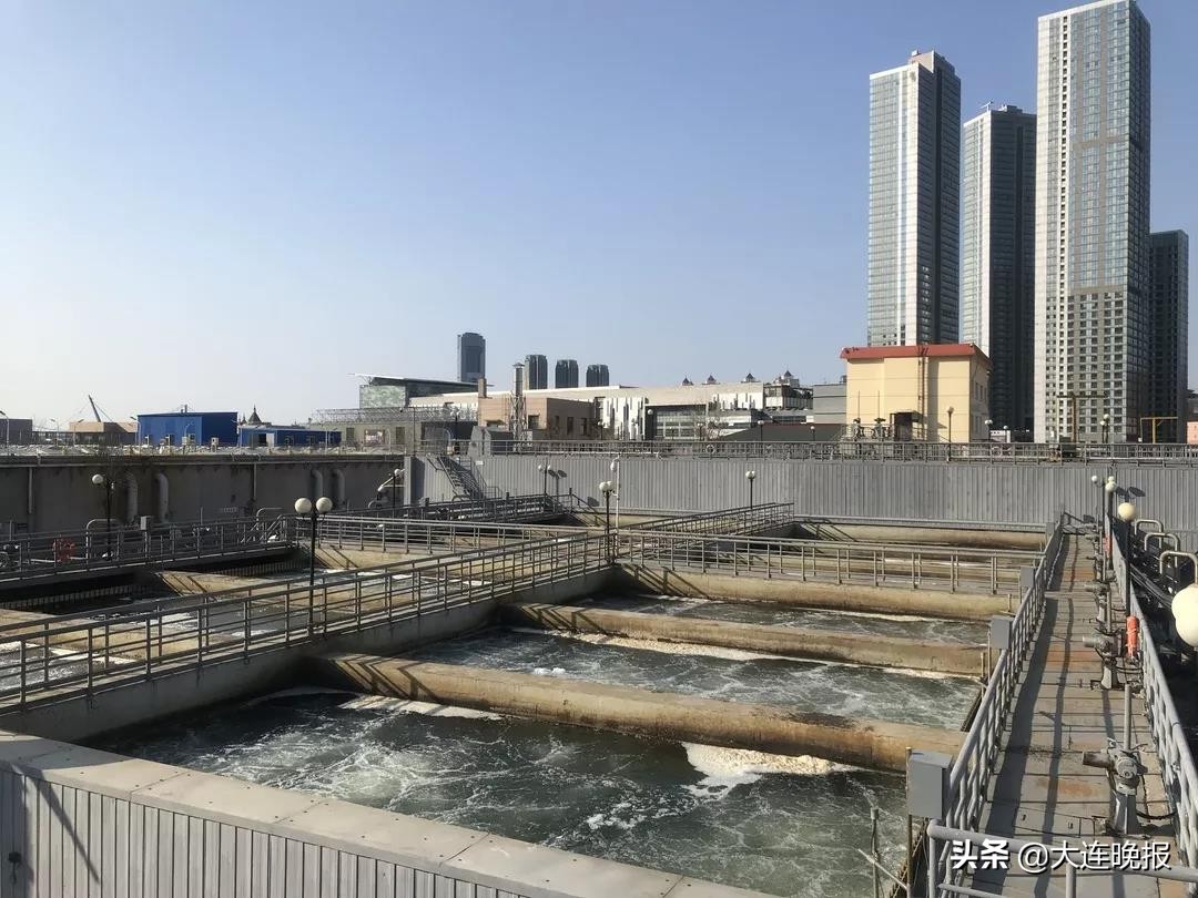 招聘！3830个岗位在线“网”招