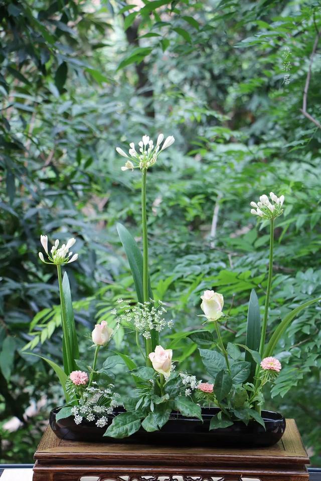 周末去哪儿小说,周末去哪儿玩免费景点