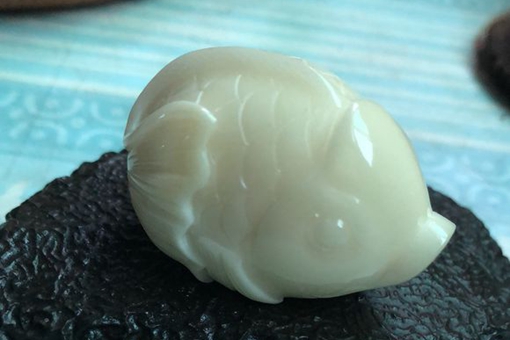 植物象牙图片大全大图,植物象牙红