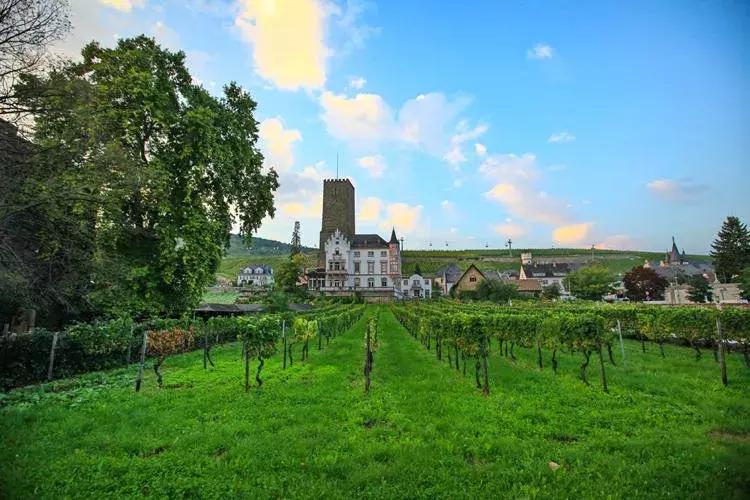 「德国」9天8晚深“德”我心之旅，1350新币起带你畅游德国