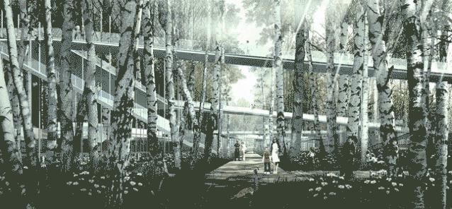 4000美金图片,五万美元效果图