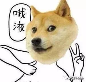 海口夜宵烤鱼推荐店有哪些,海口复古的有川味的烤鱼店