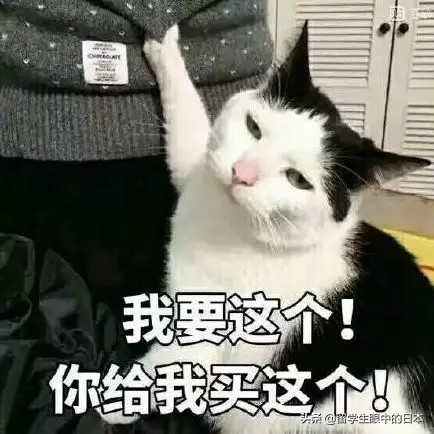 新的电商法对代购有什么影响,新电商法对代购的影响