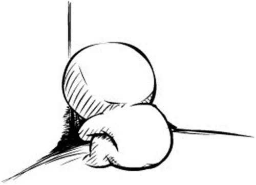 金融干货入门基础知识,金融术语大全通俗易懂