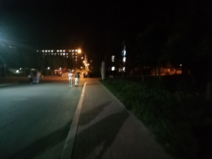 当代大学生的小狗,当代大学生的狗市