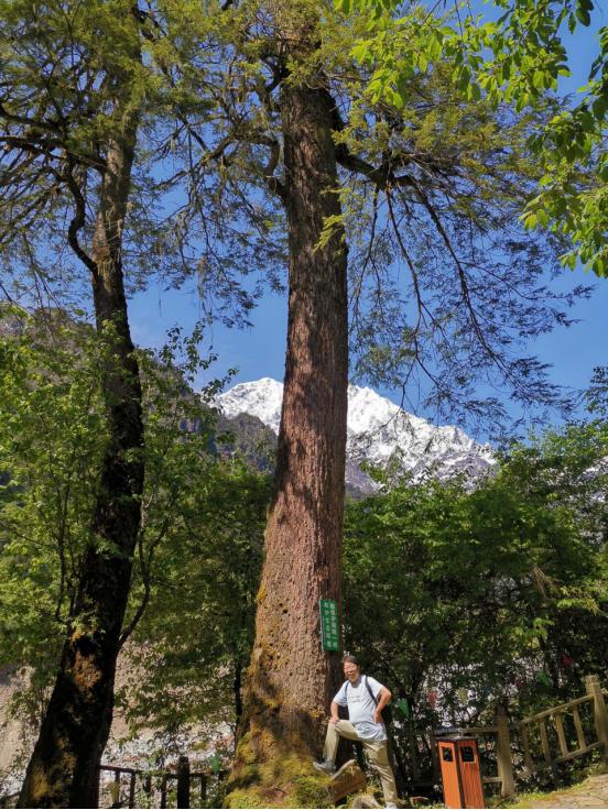海螺沟燕子沟四日游,海螺沟燕子沟风景区
