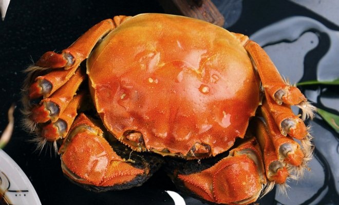 阳澄湖大闸蟹哪个地区销路好,阳澄湖大闸蟹有哪几个产区