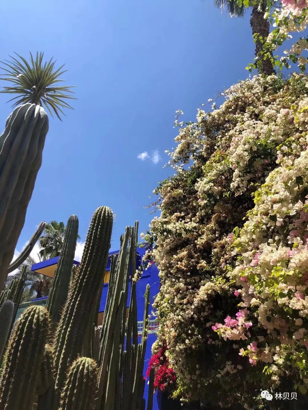 摩洛哥简单攻略,摩洛哥150天